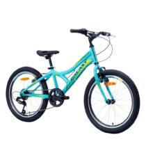 650206 Bicikl GALAXY CASPER 200 206 plava žuta zelena