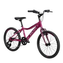 650225 Bicikl GALAXY FESTINA 206 tamno roza